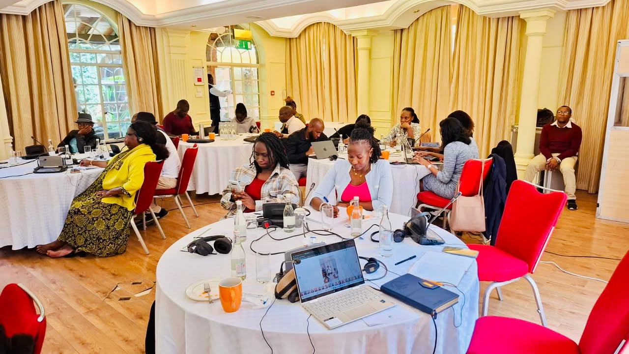 ELGIA participates in a peer learning and exchange exercise with Kenyan CSO'sengaged in the democracy and governance sector