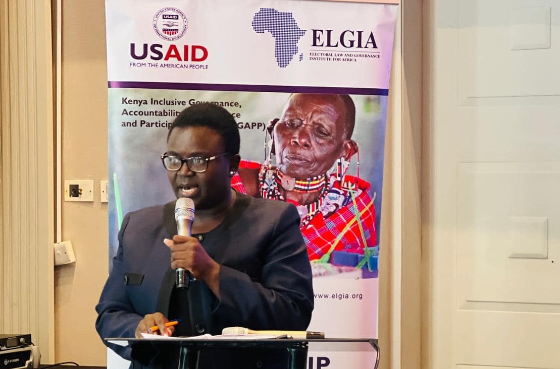  ELGIA ,Zambia (JCEM) highlights by the Political Parties Disputes Tribunal (PPDT)